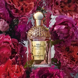 Aqua Allegoria Forte - Rosa Rossa Eau de Parfum