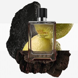 Terre d'Hermès - Água de Perfume Intense