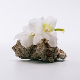Loewe A Mi Aire - Eau De Toilette