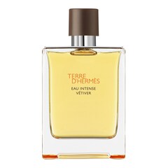 Terre d'Hermès Eau Intense Vétiver - Eau de parfum Recarga, Hermès