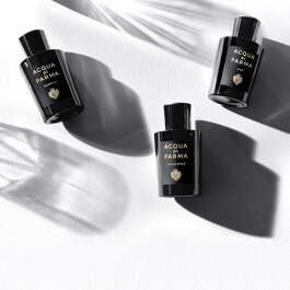 Signatures of the Sun Oud - Eau de Parfum Amadeirado