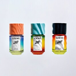 Loewe Paula's Ibiza