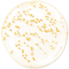 Abeille Royale Youth Watery Oil - Serum