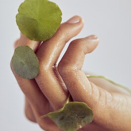 Centella Cleansing Oil - Óleo de Limpeza 