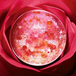 Absolue Creme Riche - Creme de dia