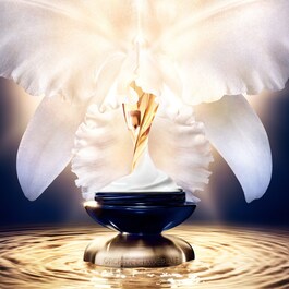 Orchidée Impériale - Creme Rico