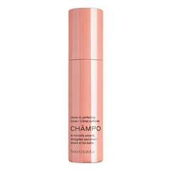 Leave-in perfecting cream - Creme de pentear, CHAMPO