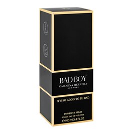 Bad Boy Fresh Edt 100ml