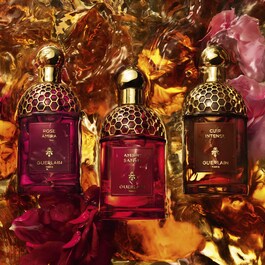 Absolus Allegoria - Patchouli Ardent - Eau de Parfum