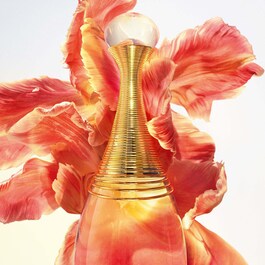 J'adore eau de parfum infinissime - Eau de parfum - Notas florais amadeiradas
