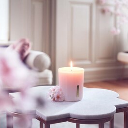 The Ritual of Sakura - Vela Perfumada