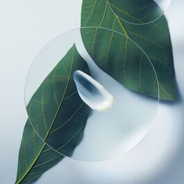 Botanical Repair™ - Amaciador Fortificante
