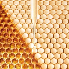 Abeille Royale - Tónico Fortificante com Geléia Real