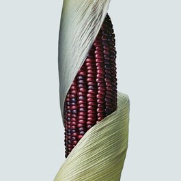 Botanical Repair™ - Máscara Fortificante