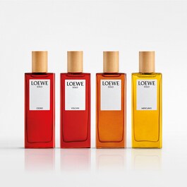 Loewe Solo Cedro - Eau De Toilette