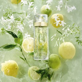 O De Lancome Edt