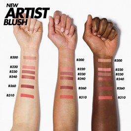Artist Face Powders - Blush