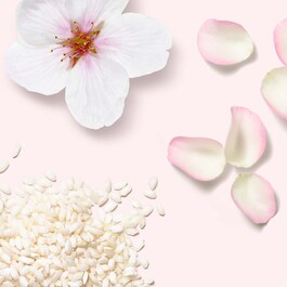 O ritual de Sakura Body Cream - Creme gordo para o corpo