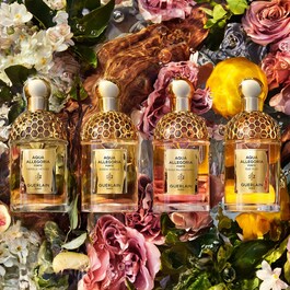 Aqua Allegoria Forte - Bosca Vanilla - Eau de Parfum