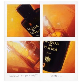 Signatures of the Sun Oud - Eau de Parfum Amadeirado