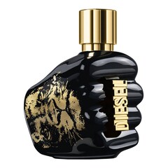 Spririt of the Brave - Eau de Toilette, DIESEL