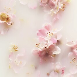 The Ritual of Sakura - Coffret M Corpo e Casa