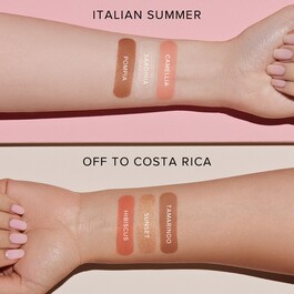 Face palette - Paleta Rosto