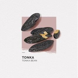 Tonka - Eau de Parfum