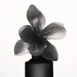 Fenty - Eau de Parfum