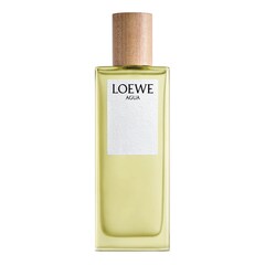 Loewe Agua - Eau De Toilette, Loewe