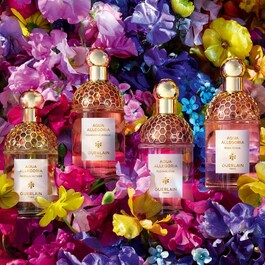 Aqua Allegoria Herba Fresca - Eau de Toilette