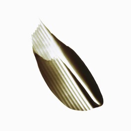 The product image is missing!