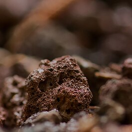  Mousse Roches Volcaniques™ - Máscara Espuma Argila