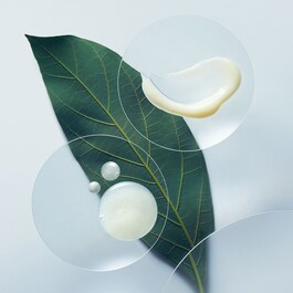 Botanical Repair™ - Champô Fortificante