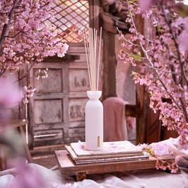 The Ritual of Sakura Fragrance Sticks - Sticks Perfumados