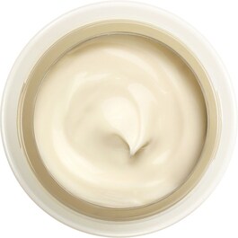 BENEFIANCE NUTRIPERFECT DAY CREAM