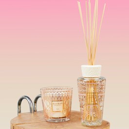 Coffret My First Baobab Paris