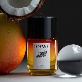 LOEWE PAULA'S IBIZA COSMIC