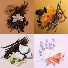 Vanilla Obsessions Miniature Set - Coffret perfume em miniatura