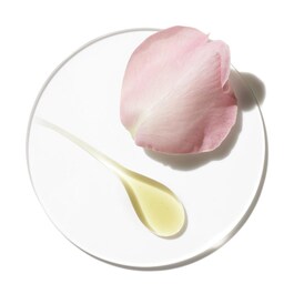 Aromatics Elixir Perfume em Spray