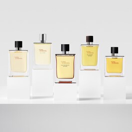 Terre d'Hermès - Água de Perfume Intense