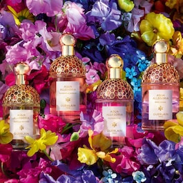Aqua Allegoria Flora Salvaggia - Eau de Toilette
