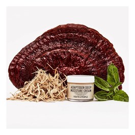 Adaptogen Deep Moisture Cream - Creme Hidratante