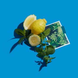 Cédrat Enivrant - Eau de Parfum