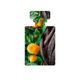 Vanilla Pod - Creme de dia hidratante com baunilha