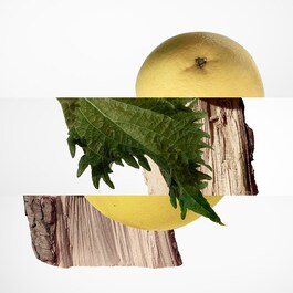 Terre d'Hermès Parfum