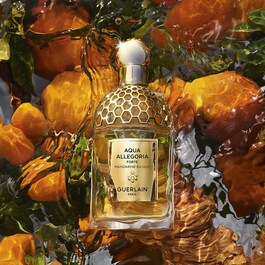Coffret Aqua Allegoria - Mandarine Basilic - Eau de Parfum