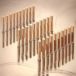 Beautiful Skin Radiant Concealer - Anti-cernes Iluminador