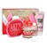 PREMIUM LARGE SET-21 XMS