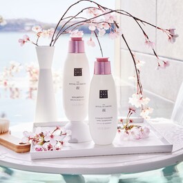 The Ritual of Sakura - Champô